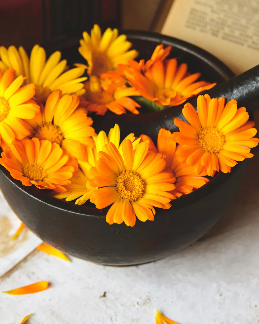 Calendula Cream