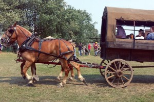 Annual Marshville Heritage Festival