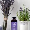 Organic Lavender Bath Oil Lovebee Products