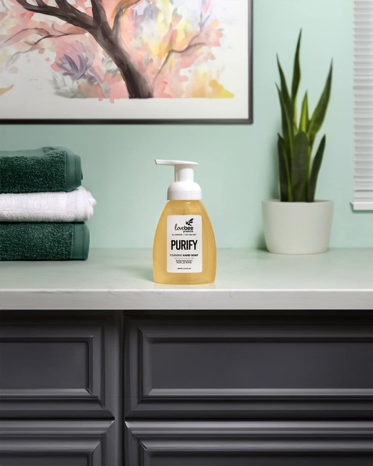 Purify Foaming Hand Soap