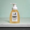 Purify Foaming Hand Soap Bathroom