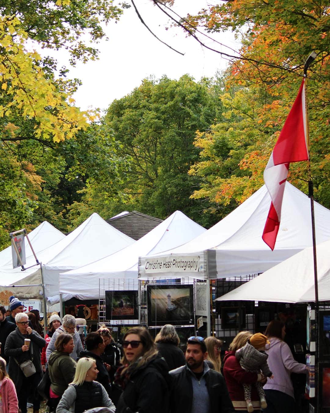 Crowd At Ball's Falls Thanksgiving Festival